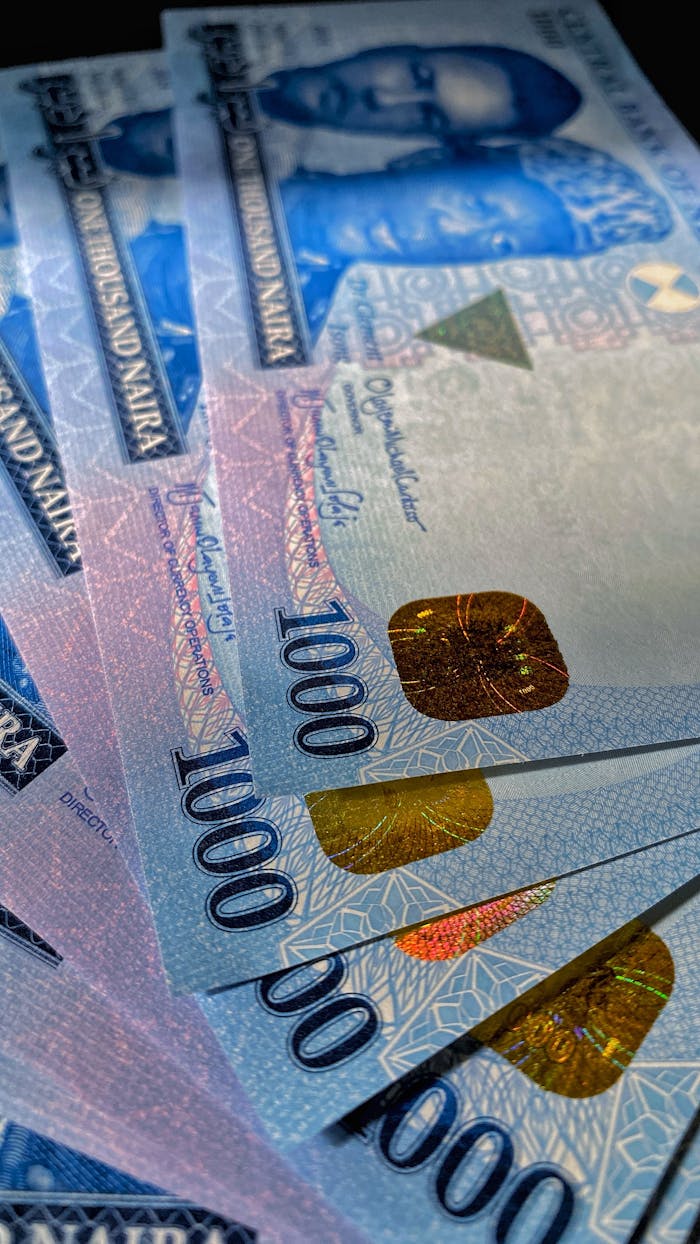 Detailed close-up of Nigerian Naira banknotes showcasing currency texture and design.