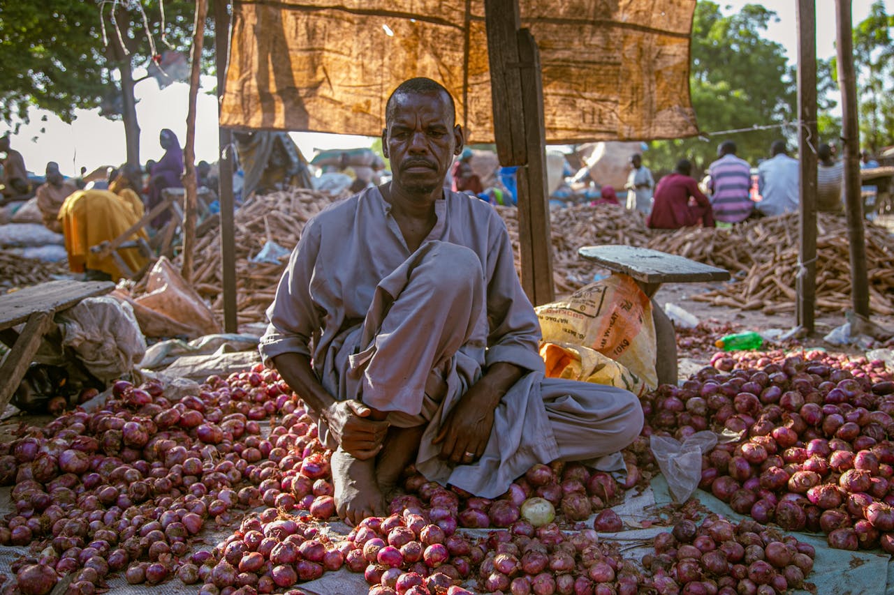 A Nigerian man sitting among onions at a local market in Maiduguri, Nigeria.