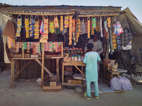 Vibrant street market scene in Maiduguri, Nigeria featuring local sellers and colorful products.